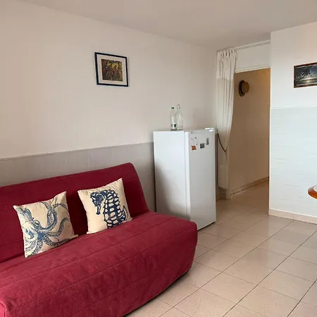 Apartamento T2 Avec Terrasse Et Wifi - Fr-1-309-259 *