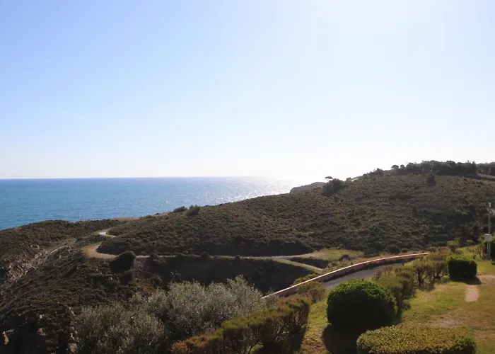 T2 Avec Terrasse Et Wifi - Fr-1-309-259 Banyuls-sur-Mer