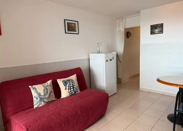 Lejlighed T2 Avec Terrasse Et Wifi - Fr-1-309-259 *