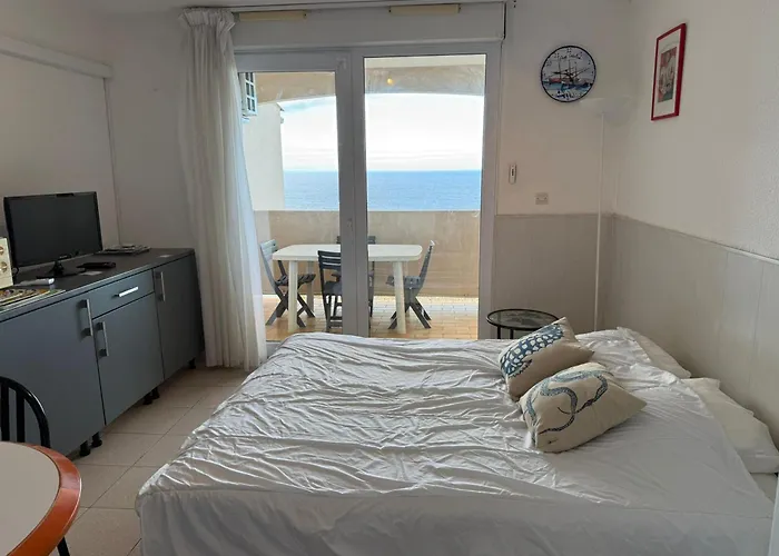T2 Avec Terrasse Et Wifi - Fr-1-309-259 Lejlighed Banyuls-sur-Mer